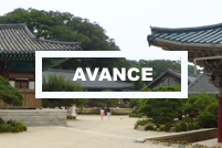 avance_kr